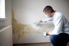 Forensic Mold Investigation in Tano Road, NM